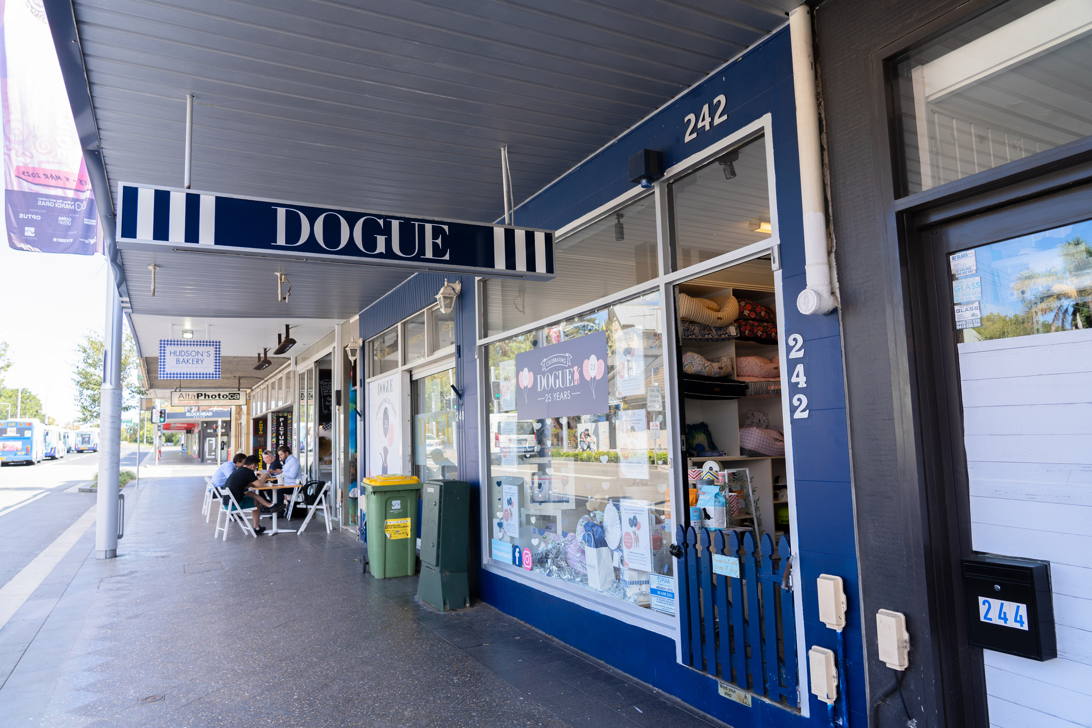 Dogue-premium-australian-dog-brand-bondi