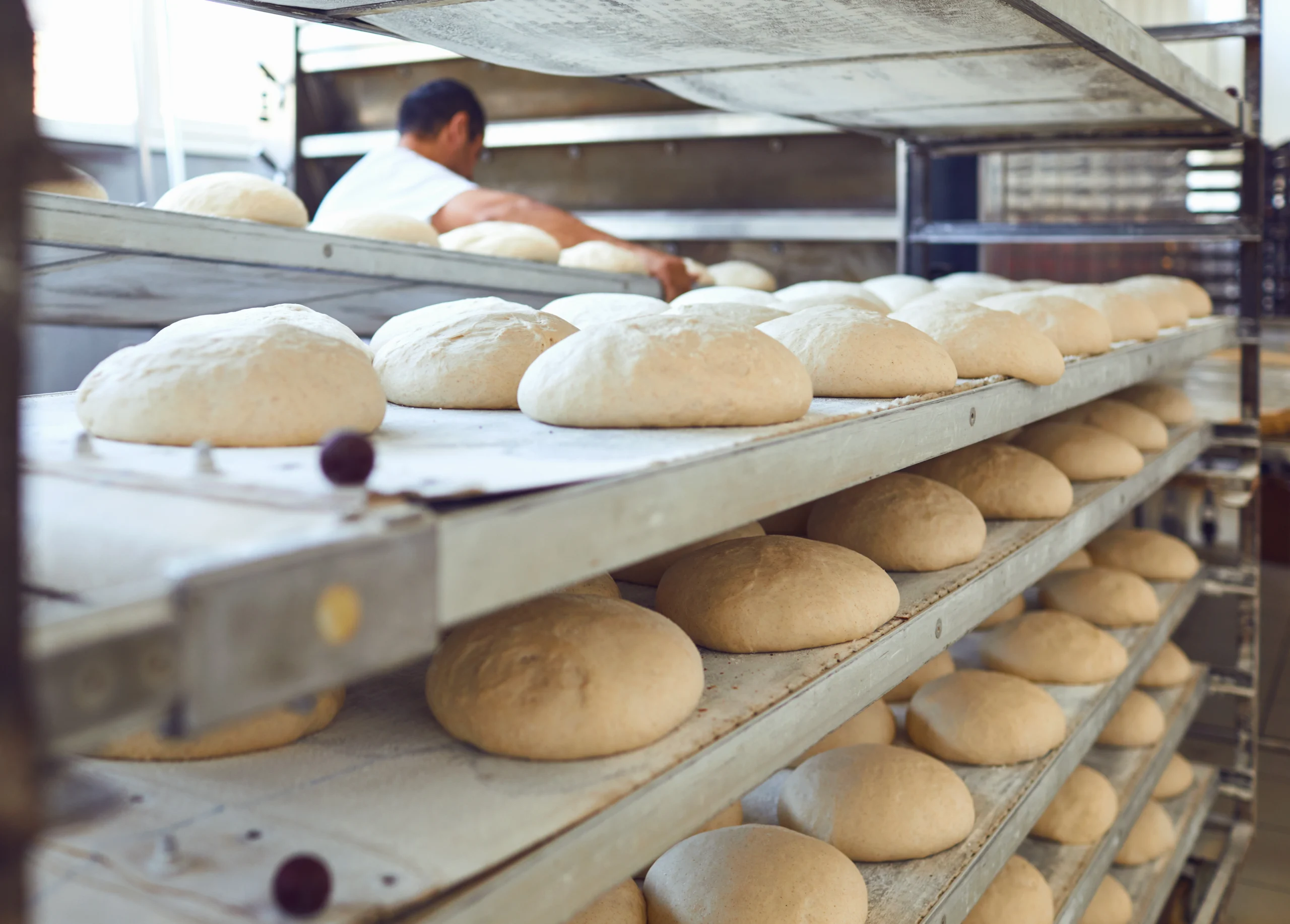 Fresh bread on trays before baking in the oven at the bakery