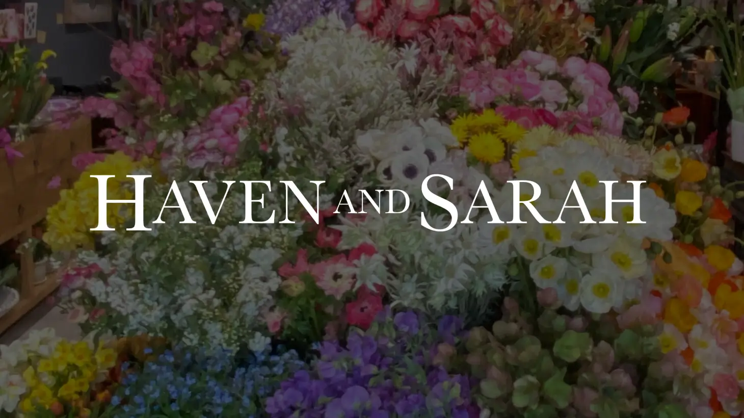 Haven and Sarah logo
